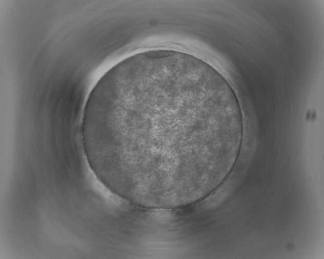 X0000111011536200907101304