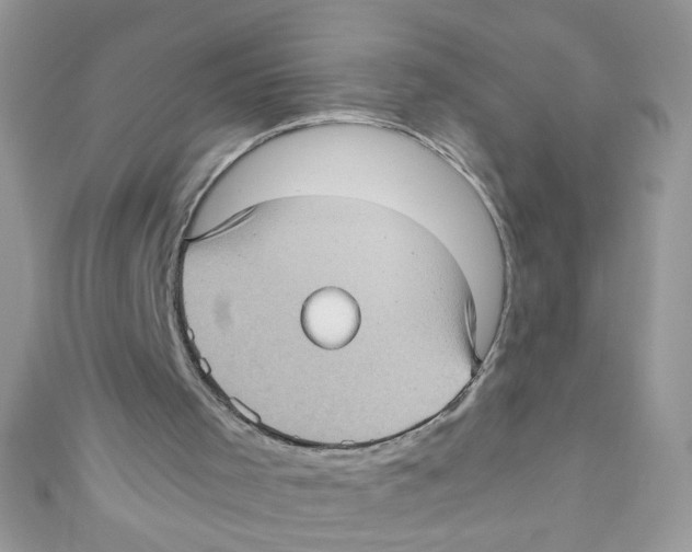 X0000111010001200907171844