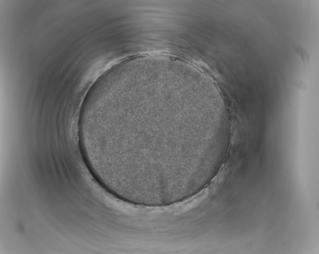 X0000111010002200907171844