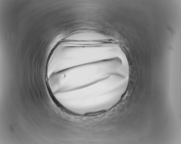 X0000111010003200907171844