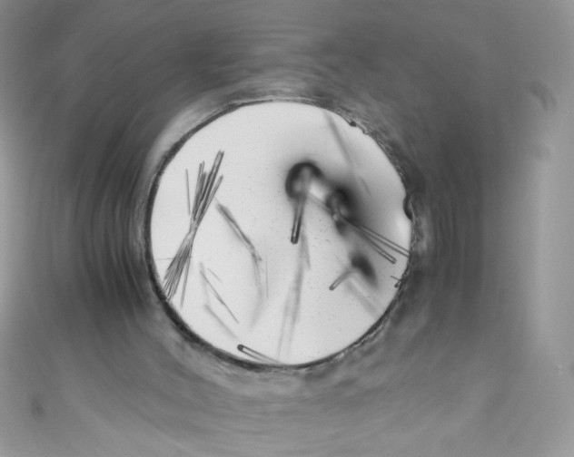 X0000111010004200907171844