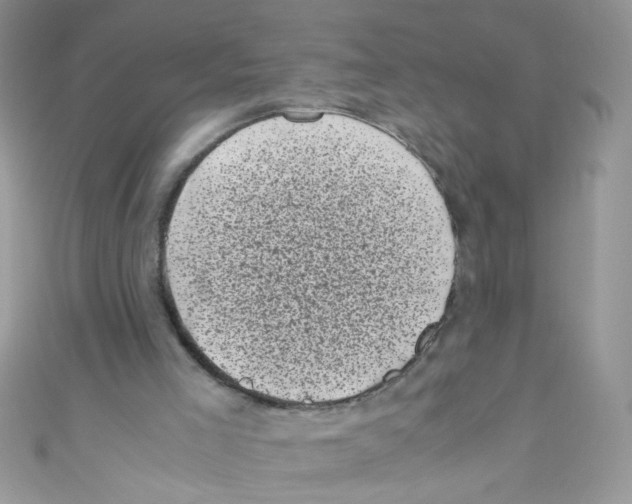 X0000111010005200907171844