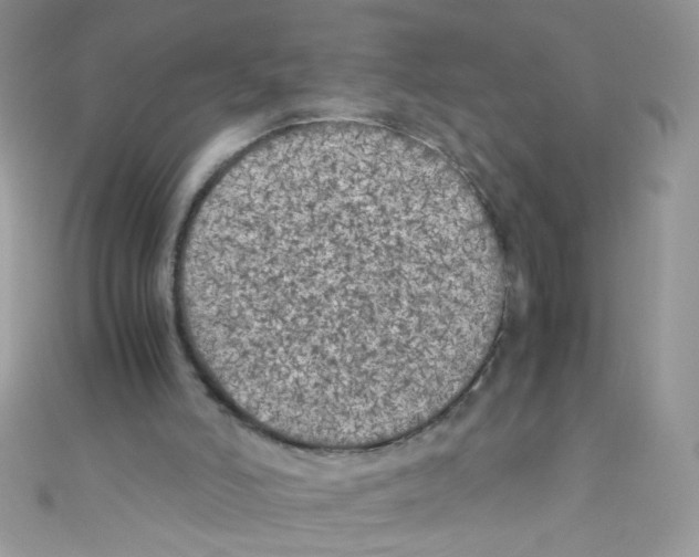 X0000111010006200907171844