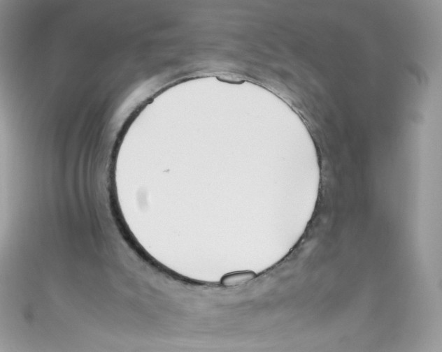 X0000111010007200907171844