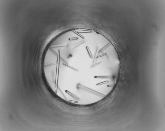 X0000111010008200907171844