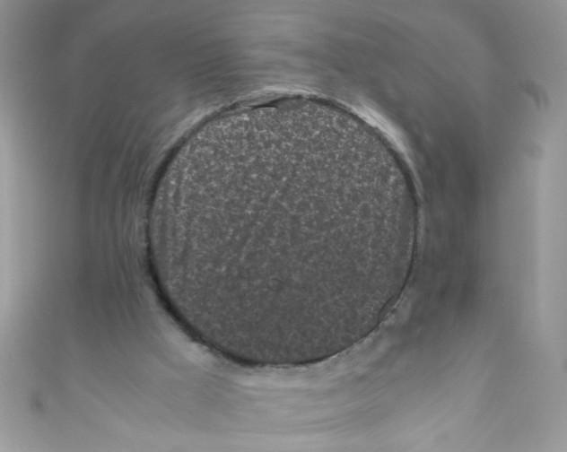 X0000111010009200907171844