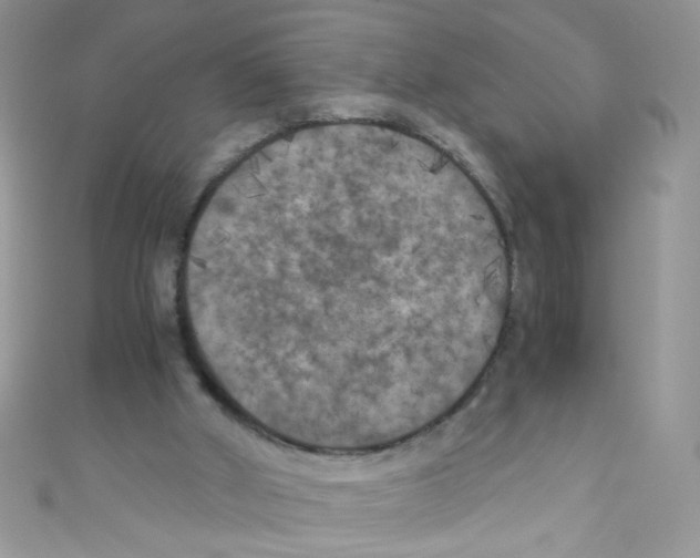 X0000111010010200907171844