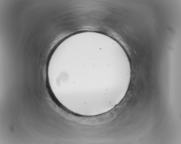 X0000111010011200907171844