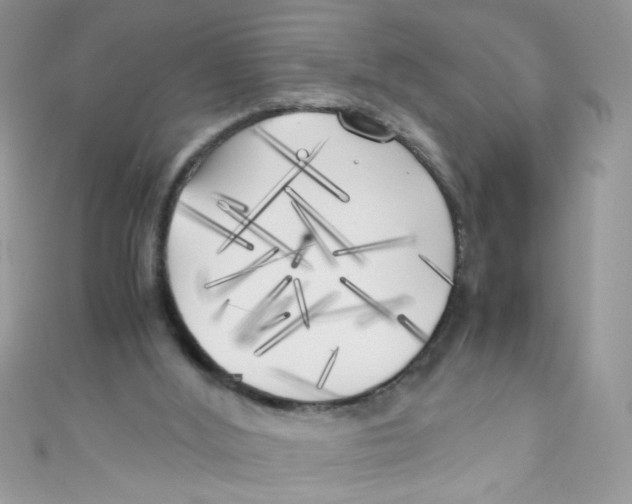 X0000111010012200907171844