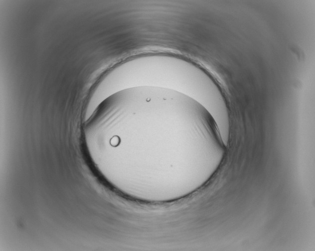 X0000111010015200907171844