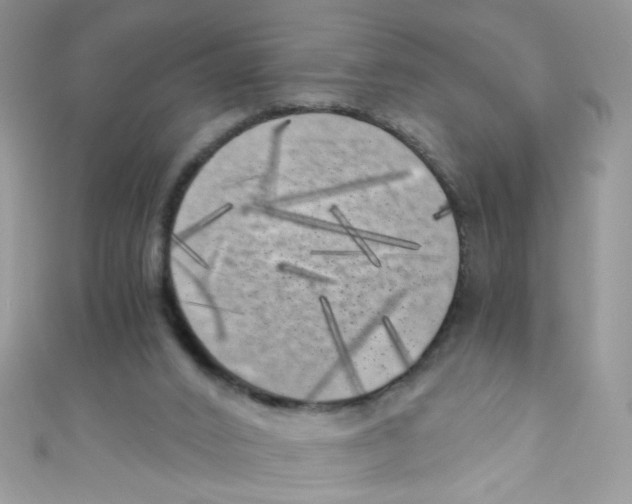 X0000111010016200907171844