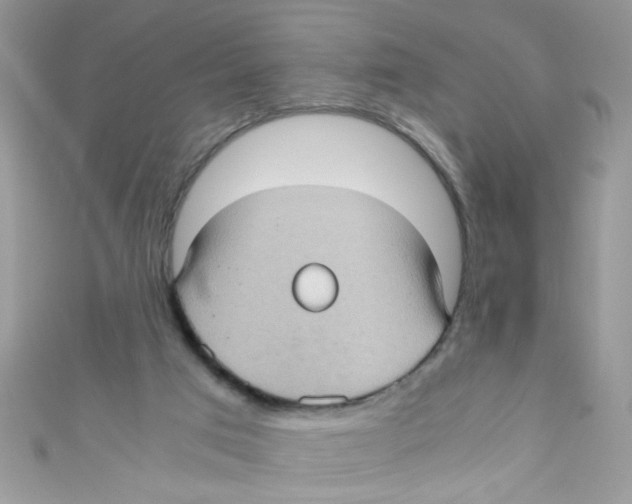 X0000111010017200907171844