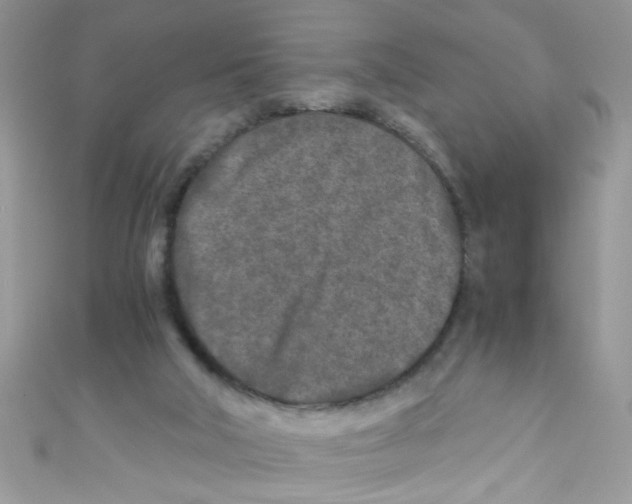 X0000111010018200907171844