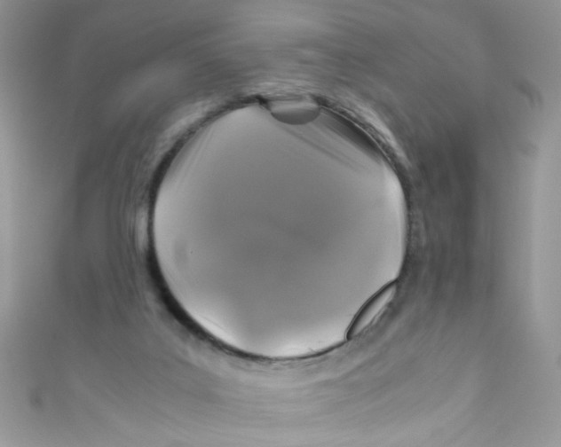 X0000111010019200907171844