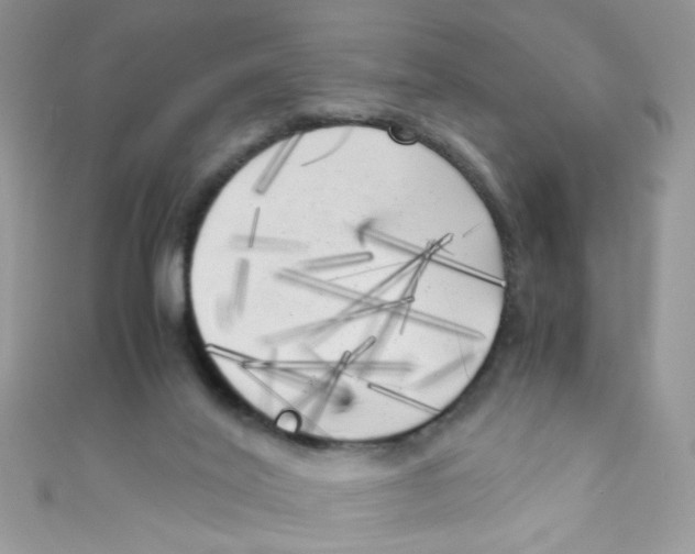 X0000111010020200907171844