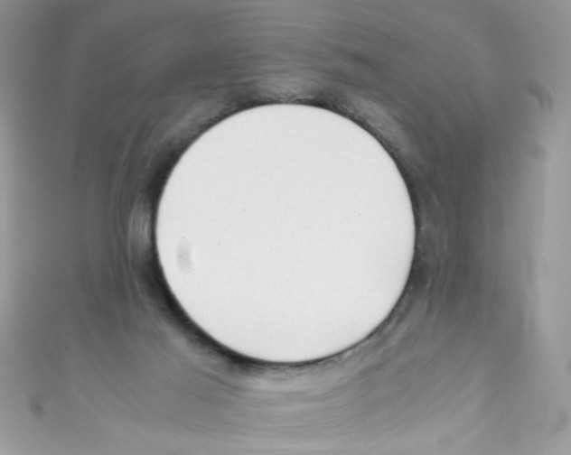 X0000111010021200907171844