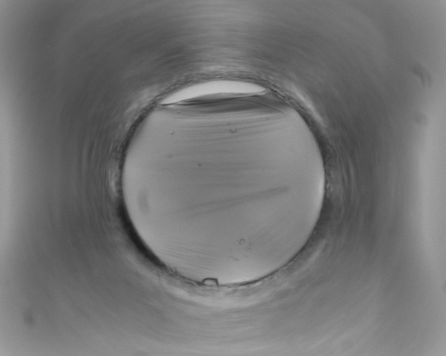 X0000111010023200907171844