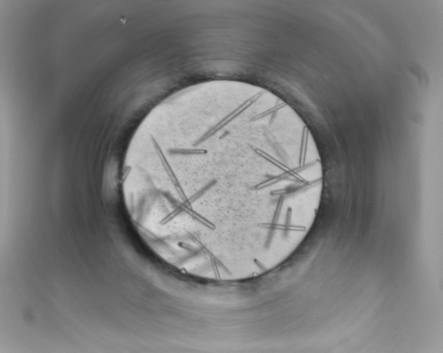X0000111010024200907171844