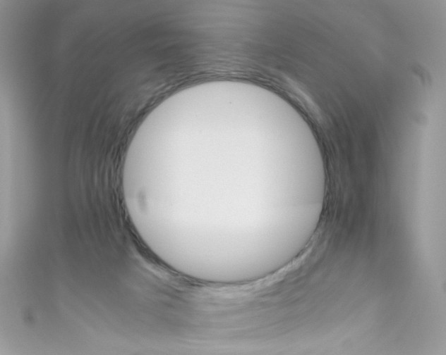 X0000111010025200907171844