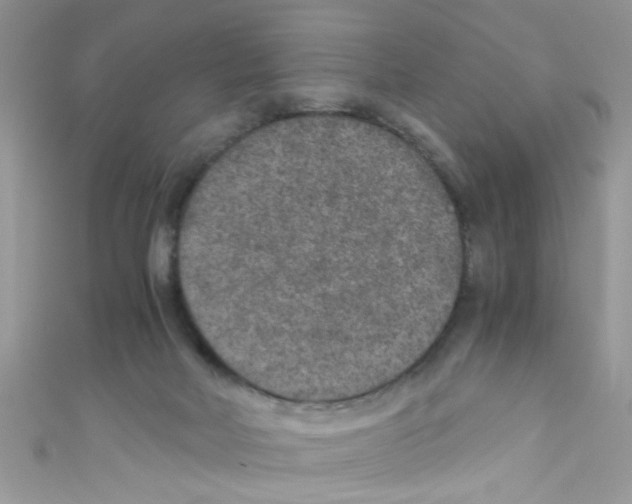 X0000111010026200907171844