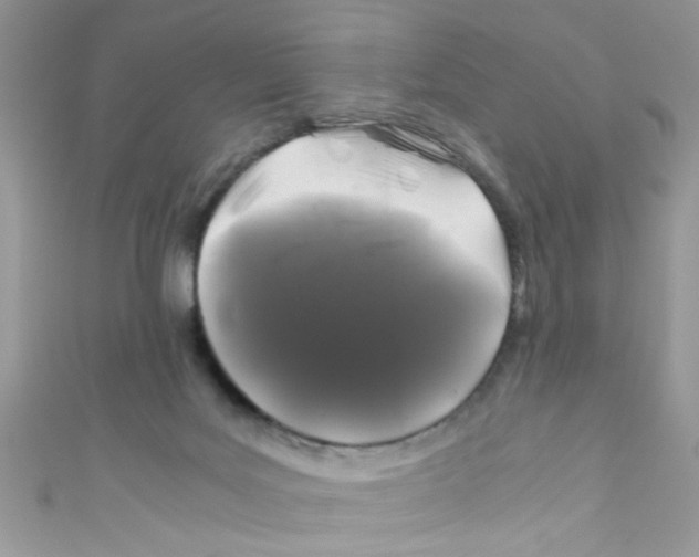 X0000111010027200907171844