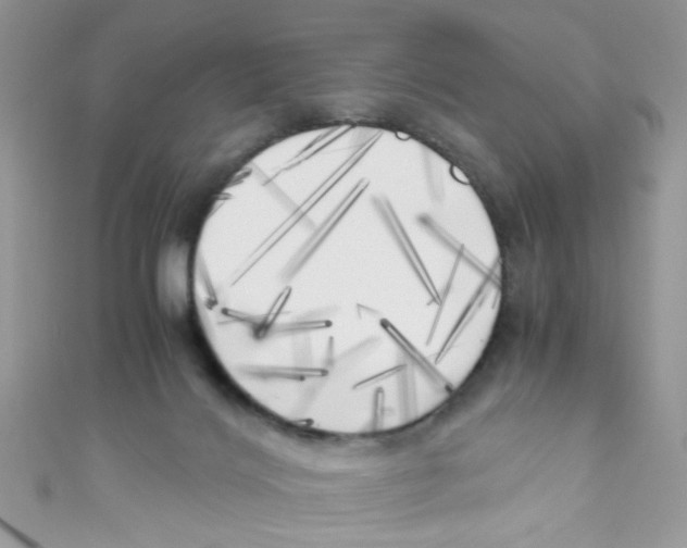 X0000111010028200907171844