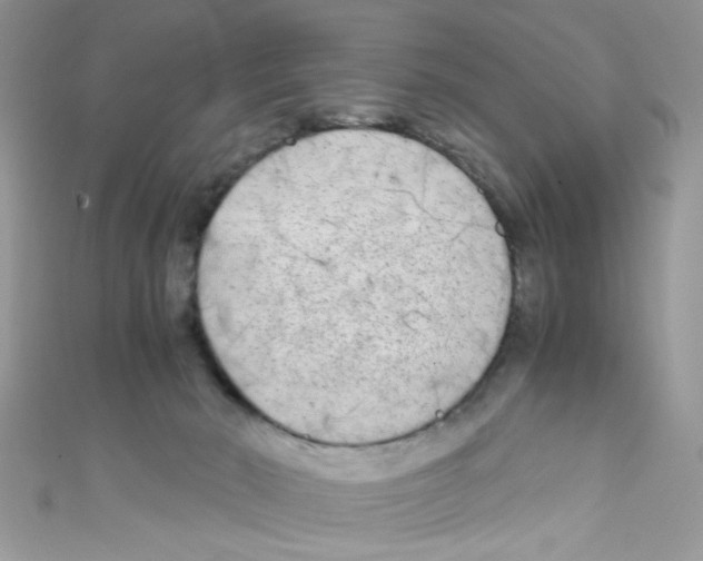 X0000111010030200907171844