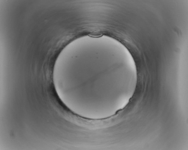 X0000111010031200907171844