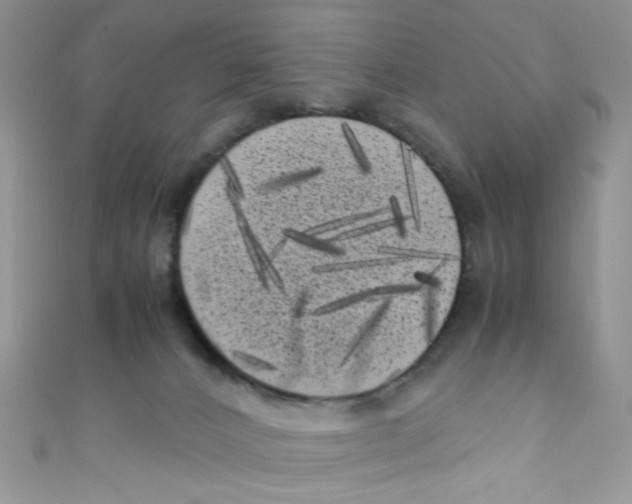 X0000111010032200907171844