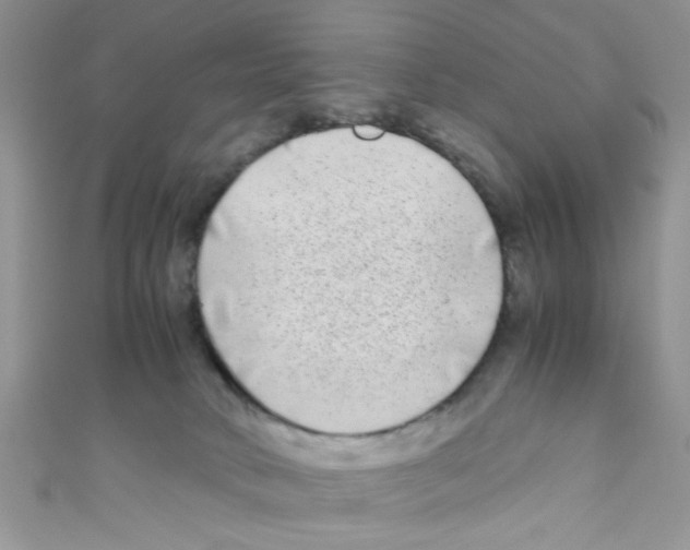 X0000111010034200907171844