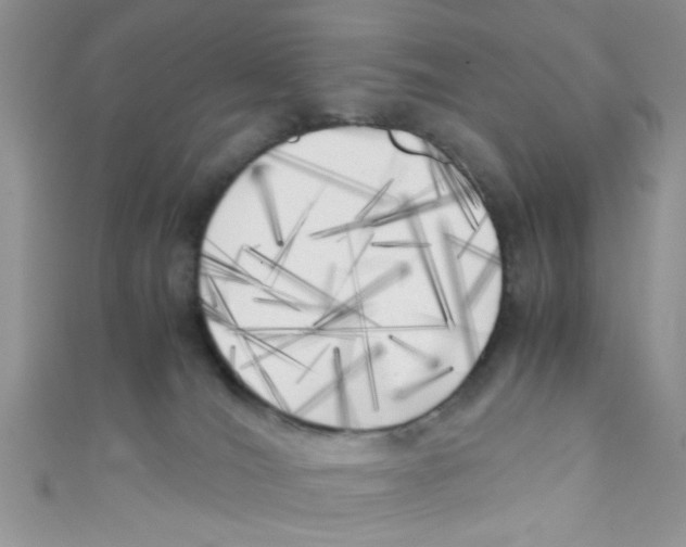 X0000111010036200907171843