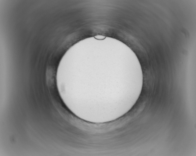 X0000111010038200907171843