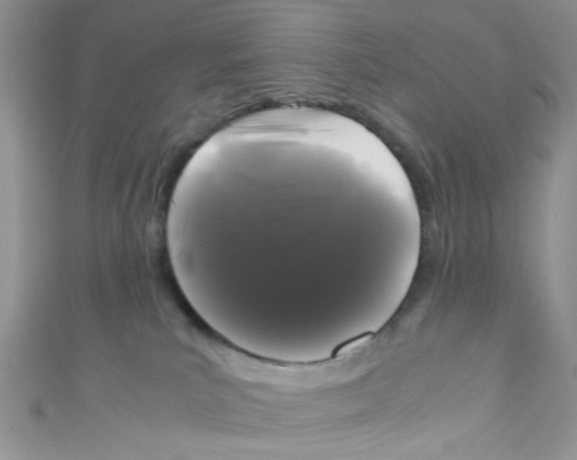 X0000111010039200907171843