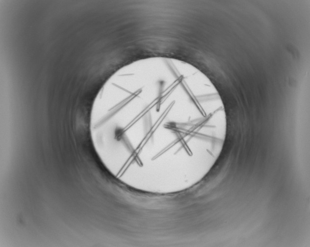 X0000111010040200907171843