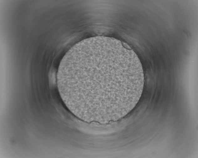 X0000111010042200907171843