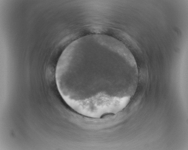 X0000111010043200907171843