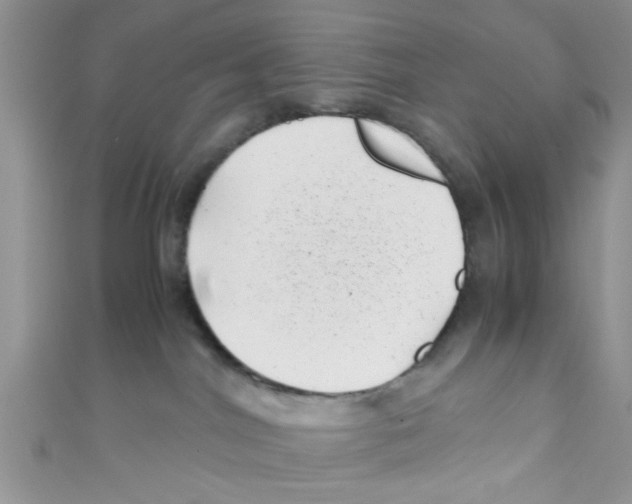 X0000111010044200907171843