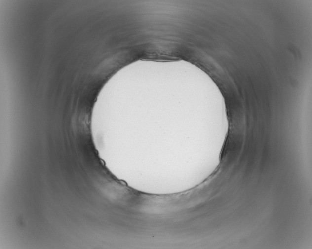 X0000111010045200907171843