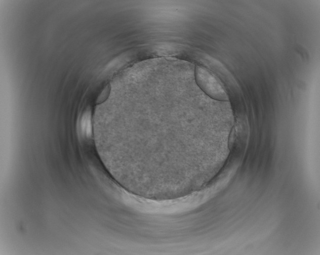 X0000111010046200907171843