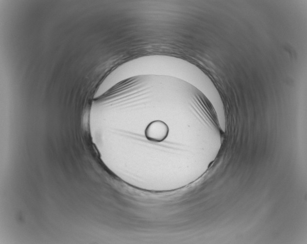 X0000111010047200907171843