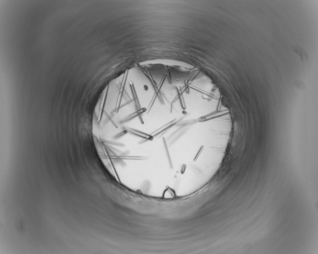 X0000111010048200907171843
