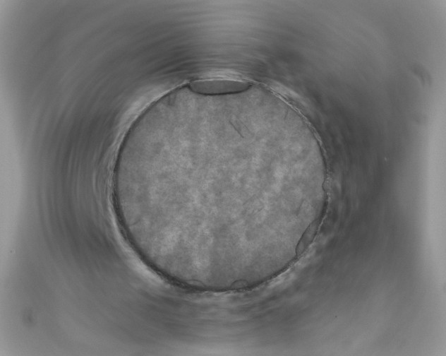 X0000111010049200907171843