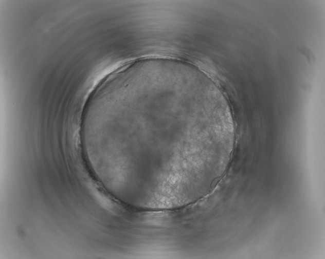 X0000111010050200907171843