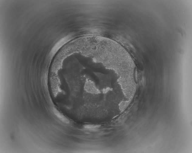 X0000111010051200907171843