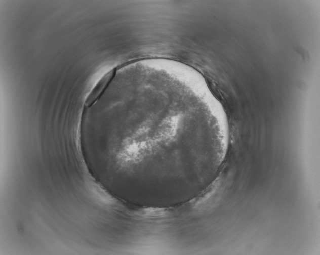 X0000111010052200907171843