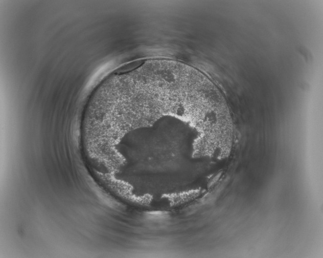 X0000111010053200907171843