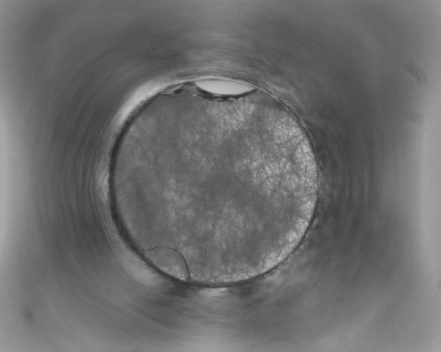X0000111010054200907171843