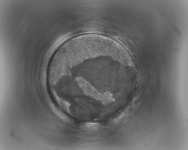 X0000111010055200907171843