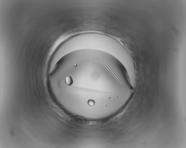 X0000111010056200907171843