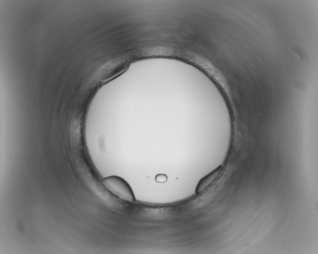 X0000111010057200907171843